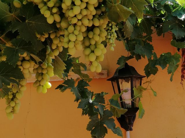 Grigliata di gamberoni Natura in tavola